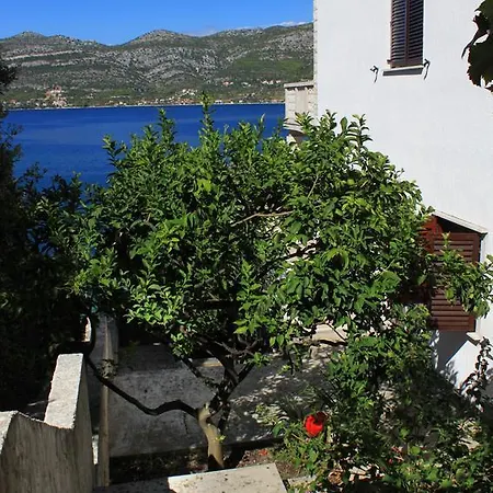 Tri Zala 9237c Κόρτσουλα